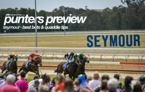 Seymour race tips & quaddie numbers | September 17, 2023