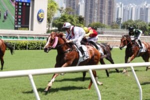 Zac Purton hopeful Stoltz can deliver in Group 3 National Day Cup