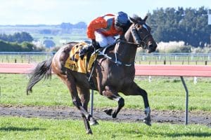 Tavi's Court returns a winner at Wanganui