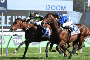 Think About It holds on in cracking edition of Premiere Stakes
