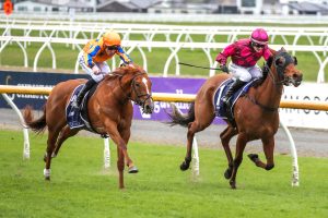 Viva Vienna salutes in Listed Canterbury Belle Stakes