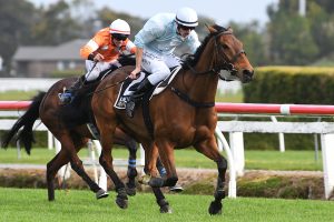 West Coast claims Great Northern Steeplechase