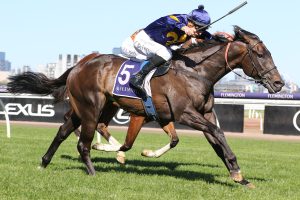 Wolfy poised for Manfred Stakes return