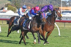 Chantilly Lace claims Listed Wanganui Guineas