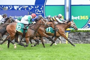 Amade snatches Geelong Cup with peach ride from Zac Spain