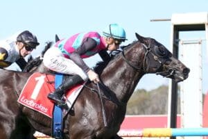 All roads lead to Group 1 Toorak Handicap for Antino