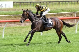 Aquacade poised for Group 1 Zabeel Classic