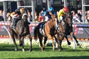 Archo Nacho gives Zahra four on Cox Plate Day