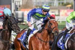 Attrition readies for autumn carnival with quiet Geelong trial