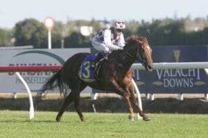Ben Foote hoping momentum can carryover to Pukekohe