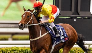 California Spangle is back for Sha Tin Trophy defence