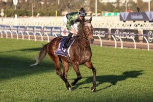 Herbert Power Stakes attracts 10 Caulfield Cup hopefuls
