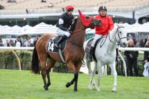 Nine mares accept for Group 2 Tristarc Stakes