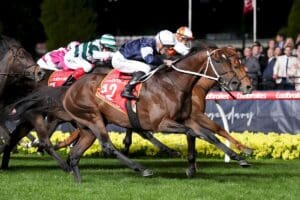 Cleveland flies home to claim Group 2 Moonee Valley Cup