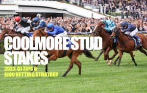 Coolmore Stud Stakes 2023 preview & tips | Saturday, November 4