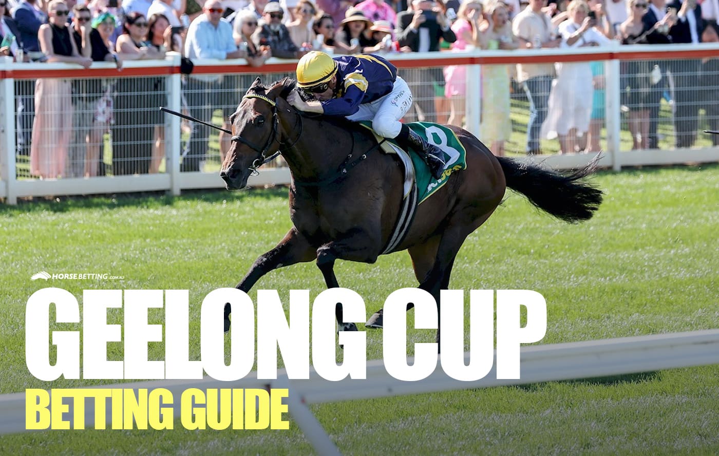 Geelong Cup 2024 Betting Guide Field News Past Winners