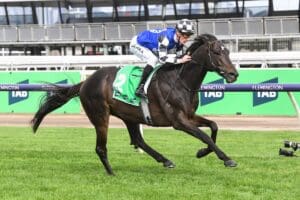 Gold Trip blows away his Turnbull Stakes rivals