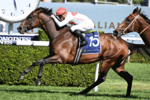I Am Me bounces back to win Group 3 Sydney Stakes