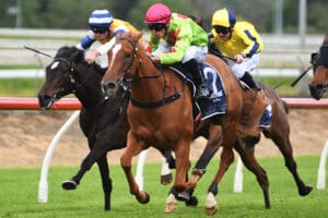Pike confident Impendabelle can strike in Guineas