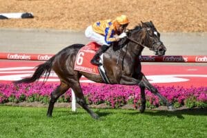 Imperatriz becomes third horse to complete Moir/Manikato double
