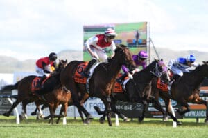 Positive reports flowing on Kiwi Melbourne Cup hope