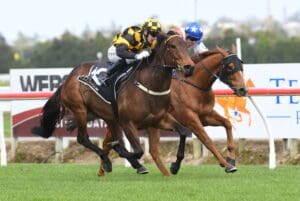 Major Guineas hope chasing further lead-up success