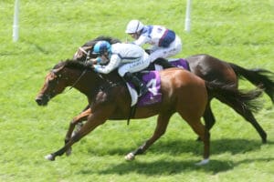 Group One aspirations with Mach Schnell
