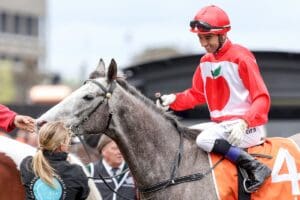 Military Mission stamps strong Melbourne Cup claim