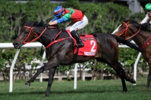 Frankie Lor has Money Catcher on another Hong Kong Cup trail