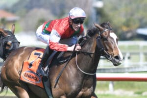 Our Alley Cat set to appreciate firming Hastings track