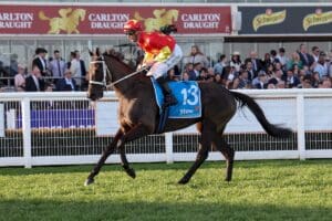 Rose Of Kingston Stakes favourite draws perfectly