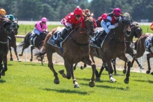 Proserve to chase Stakes success after Ashburton triumph