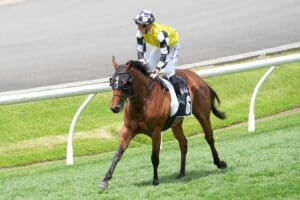 Prowess returns to Australia with Crystal Mile victory