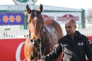 Training trio on the hunt for Timaru first