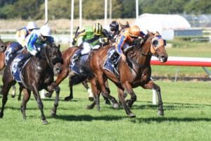 Group 3 sprint tailormade for in-form mare
