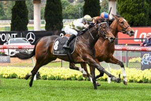 Skybird produces devastating finish to claim Fillies Classic