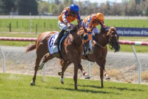 Star Of Justice claims Ashburton Group 3