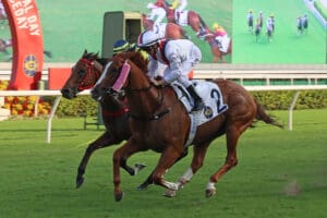Lui, Purton combine with Stoltz to land Group 3 National Day Cup