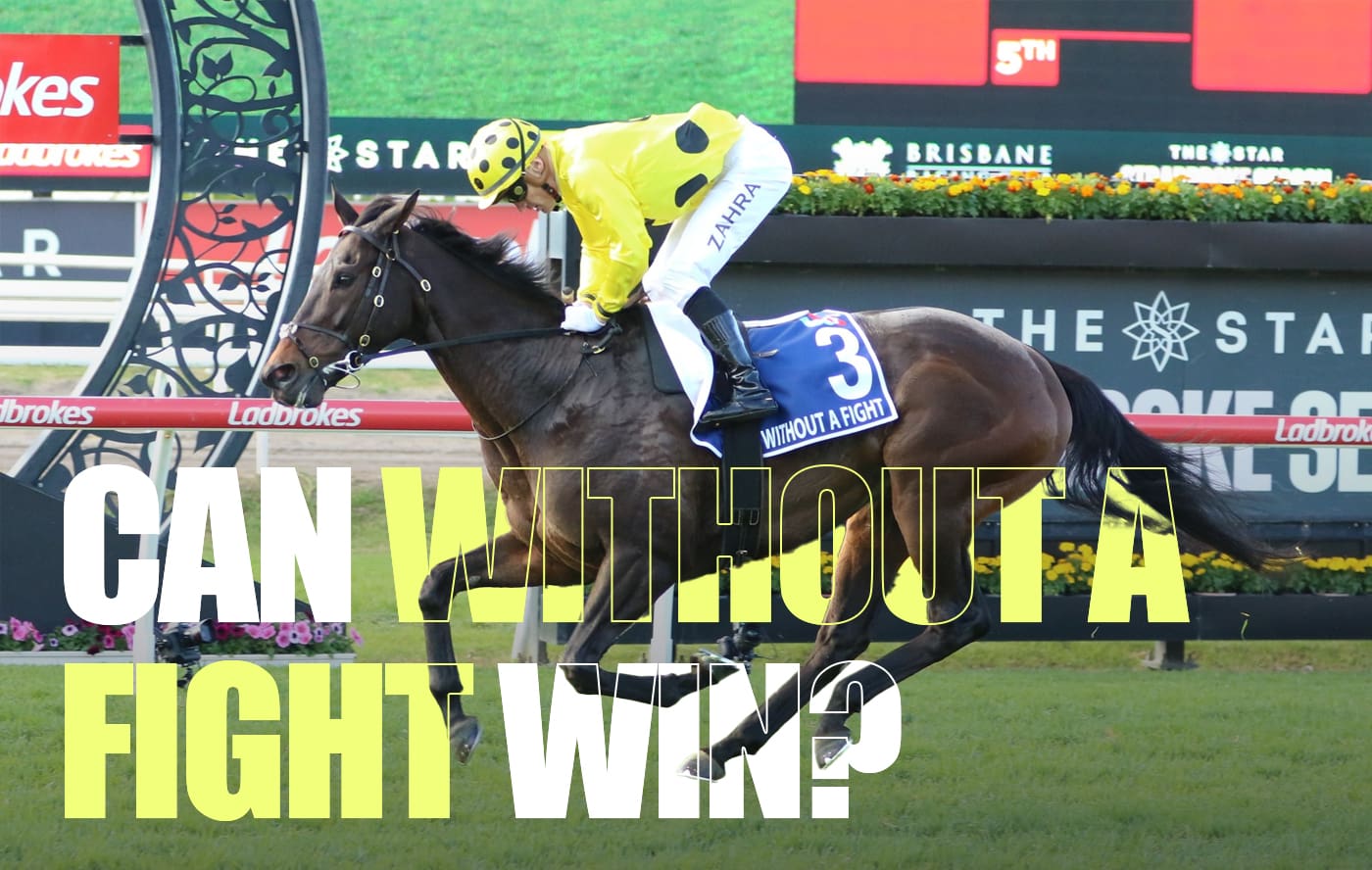 Can Without A Fight win the 2023 Melbourne Cup?