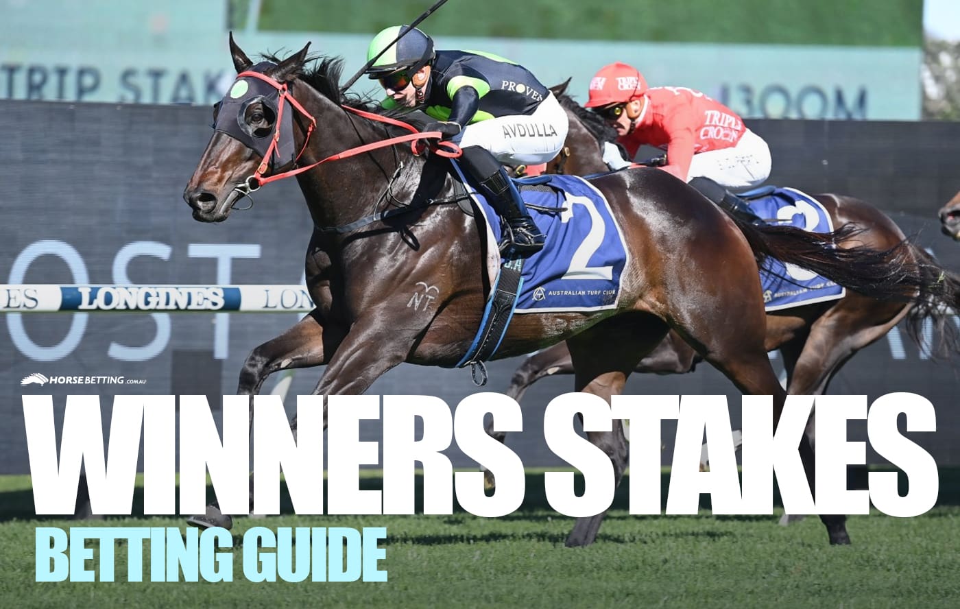 Winners Stakes Betting 2024 Field News Odds Results