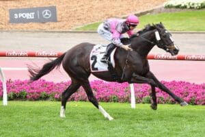 Wishlor Lass proves the class mare in Tesio Stakes