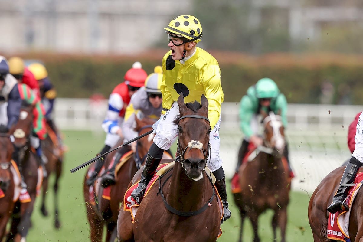 Without A Fight looms as a key Melbourne Cup chance