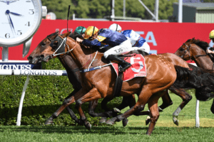 Zeyrek gets the head down to secure Group 3 Craven Plate