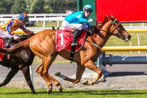Crocetti takes out Group 1 NZ 2000 Guineas