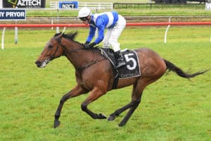 Gino Severini claims Tauranga Stakes