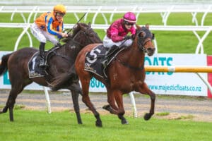 Illicit Dreams looking to get Guineas prep back on track