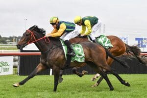 King Of The Castle delivers at Kembla