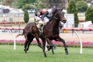 Mr Charismatic provides Valley redemption