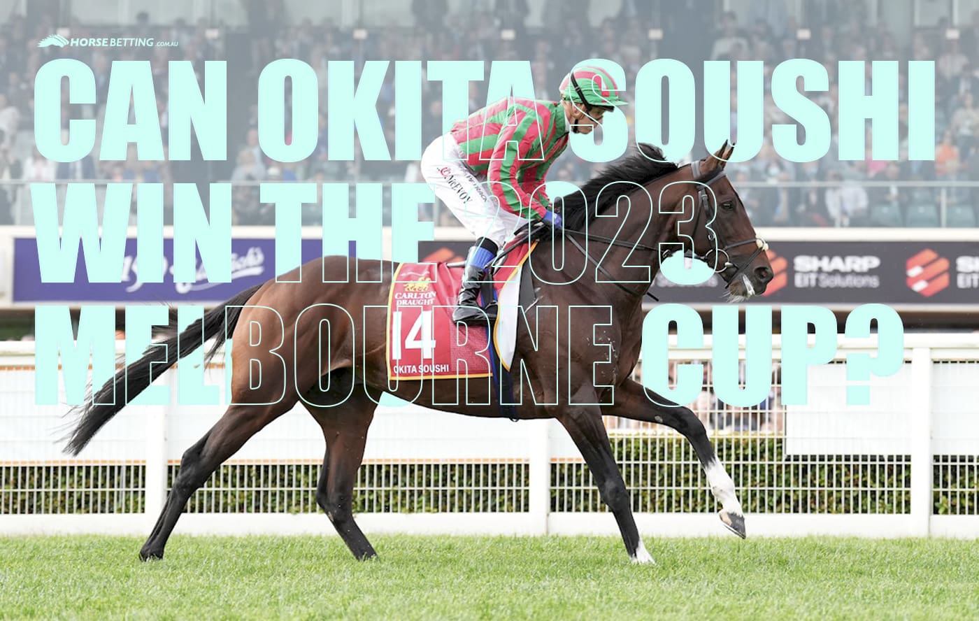 Can Okita Soushi win the 2023 Melbourne Cup?