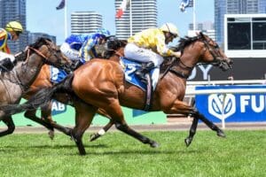 Queen Of The Ball victorious in Begonia Belle Stakes